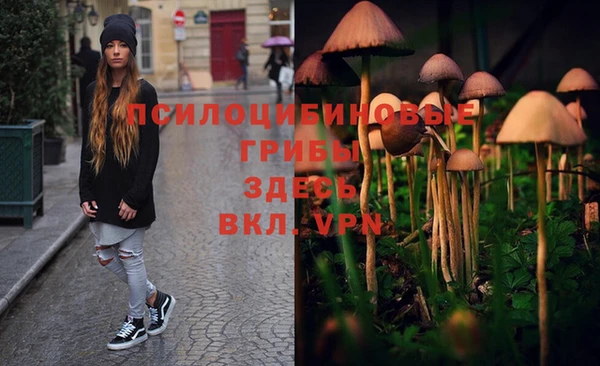 спиды Белоозёрский