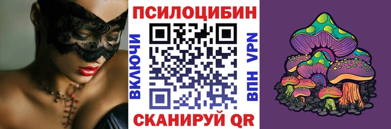 Купить где  Покров  Псилоцибиновые грибы Psilocybine cubensis 
